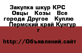 Закупка шкур КРС , Овцы , Козы - Все города Другое » Куплю   . Пермский край,Кунгур г.